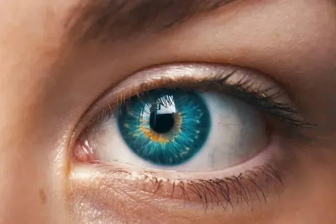 Un œil grand ouvert — le regard que l’on guide en séance