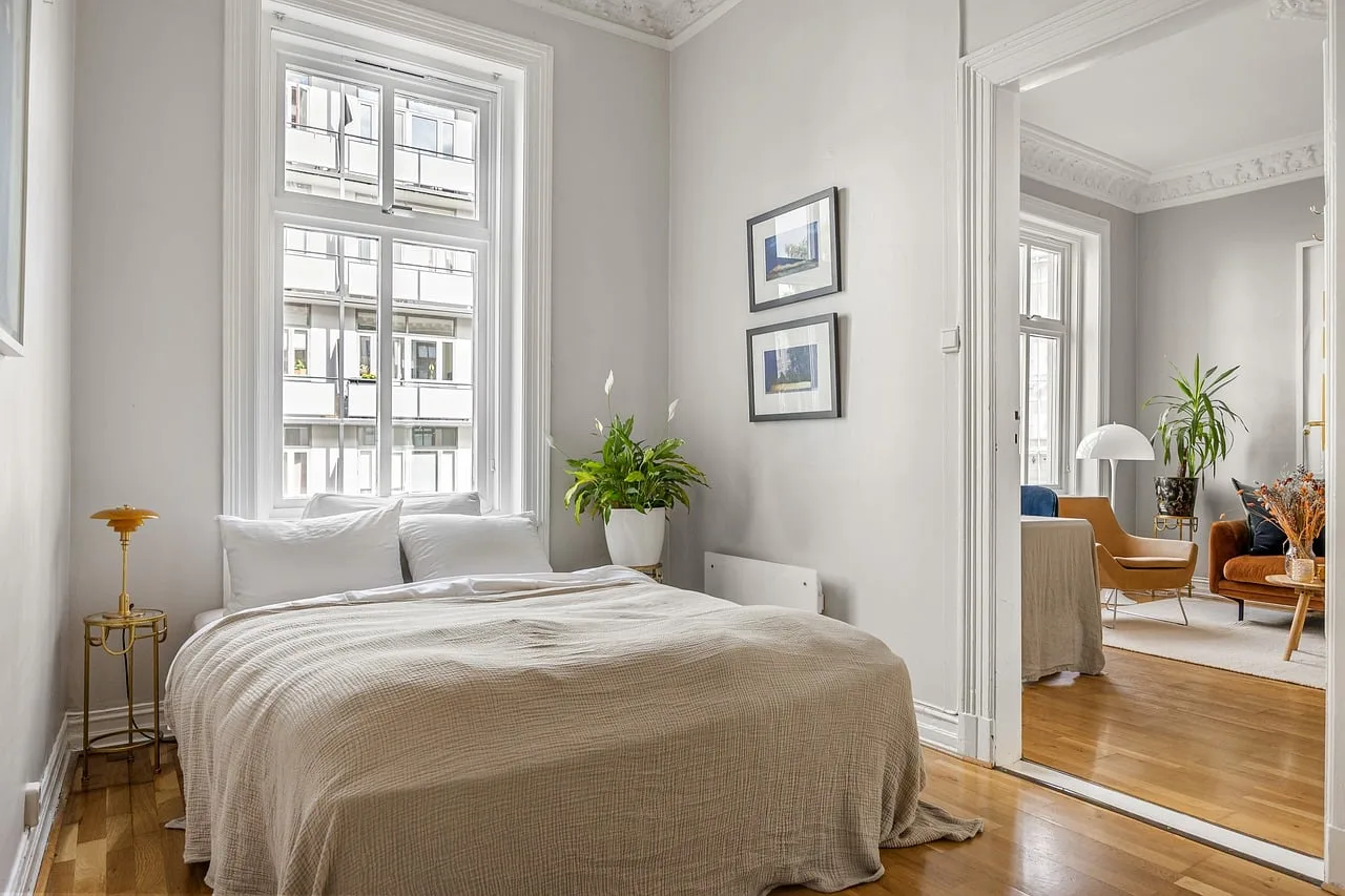 Une chambre paisible, deux fenêtres et une plante verte